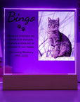 Pet Memorial Plaque | Light Up Pet Memorial Plaque | Personalized Gift for Pet Loss | Sympathy Gift for Cat, Dog