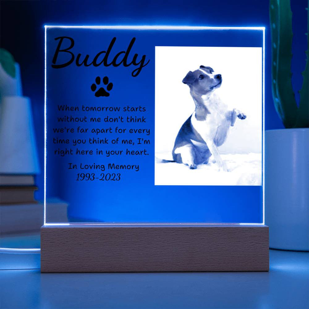 Pet Memorial Plaque | Light Up Pet Memorial Plaque | Personalized Gift for Pet Loss | Sympathy Gift for Cat, Dog