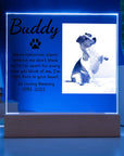 Pet Memorial Plaque | Light Up Pet Memorial Plaque | Personalized Gift for Pet Loss | Sympathy Gift for Cat, Dog