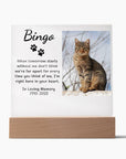 Pet Memorial Plaque | Light Up Pet Memorial Plaque | Personalized Gift for Pet Loss | Sympathy Gift for Cat, Dog