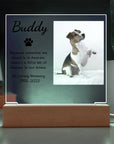 Pet Memorial Plaque | Light Up Pet Memorial Plaque | Personalized Gift for Pet Loss | Sympathy Gift for Cat, Dog