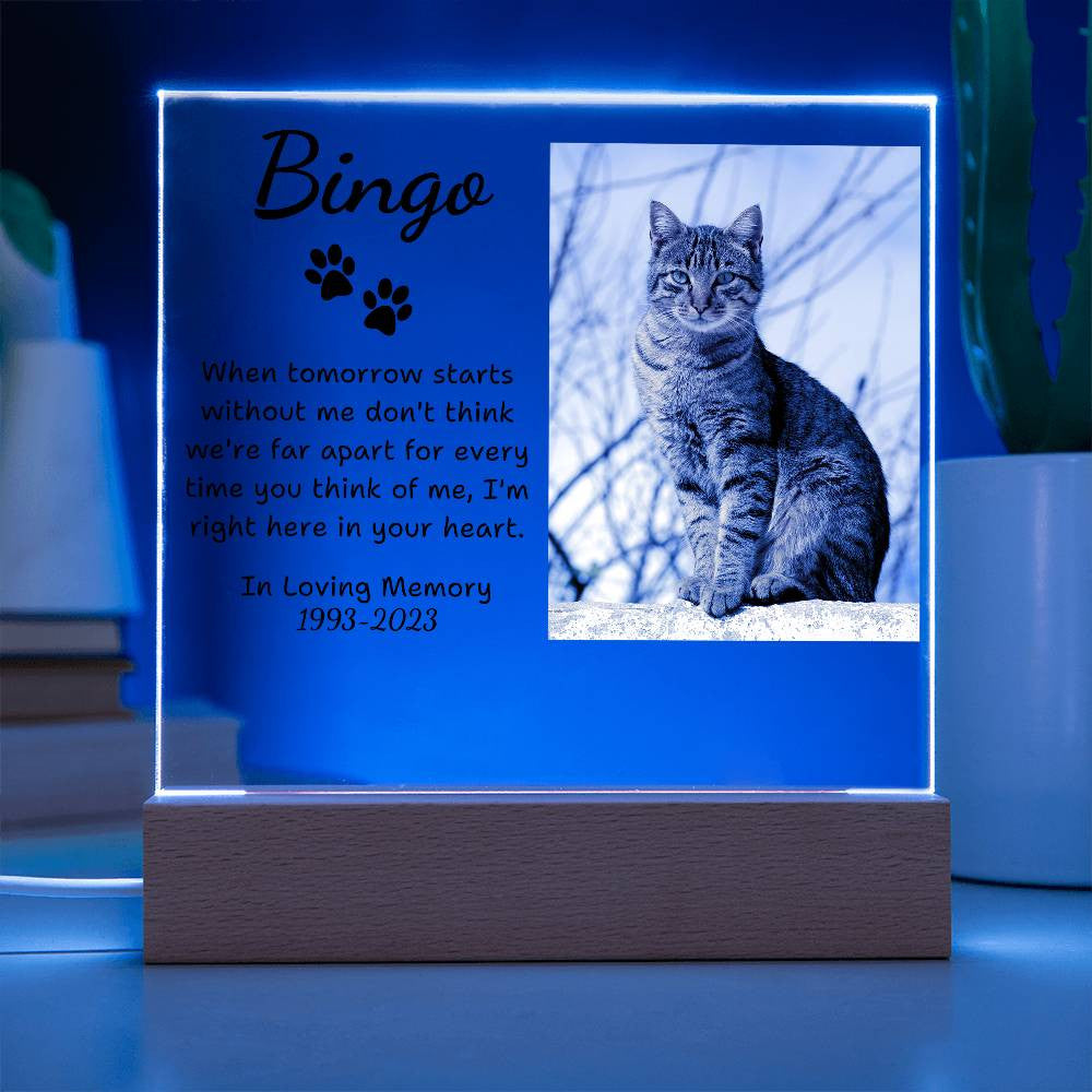 Pet Memorial Plaque | Light Up Pet Memorial Plaque | Personalized Gift for Pet Loss | Sympathy Gift for Cat, Dog