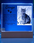 Pet Memorial Plaque | Light Up Pet Memorial Plaque | Personalized Gift for Pet Loss | Sympathy Gift for Cat, Dog