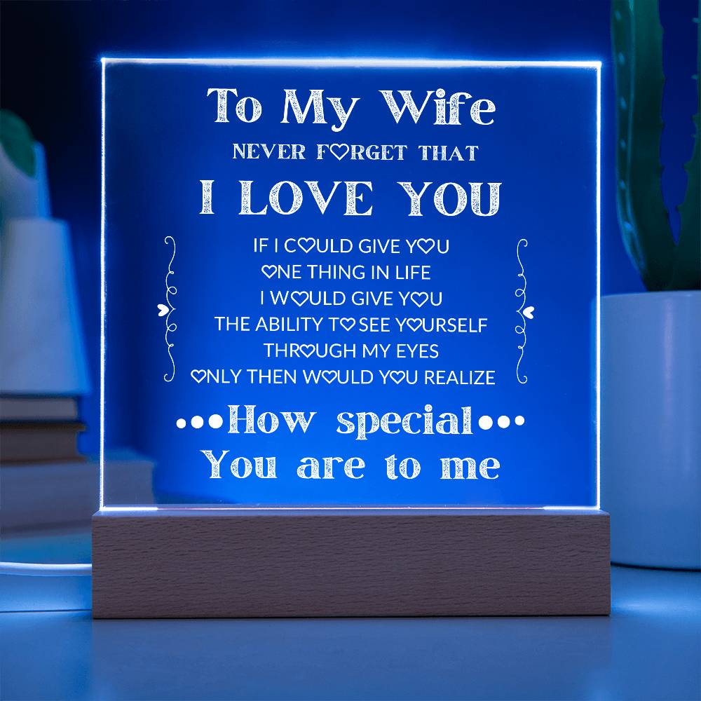 To My Wife You Are Special To Me Plaque - Lighted Acrylic Plaque